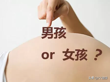 胎儿性别是由什么决定的？