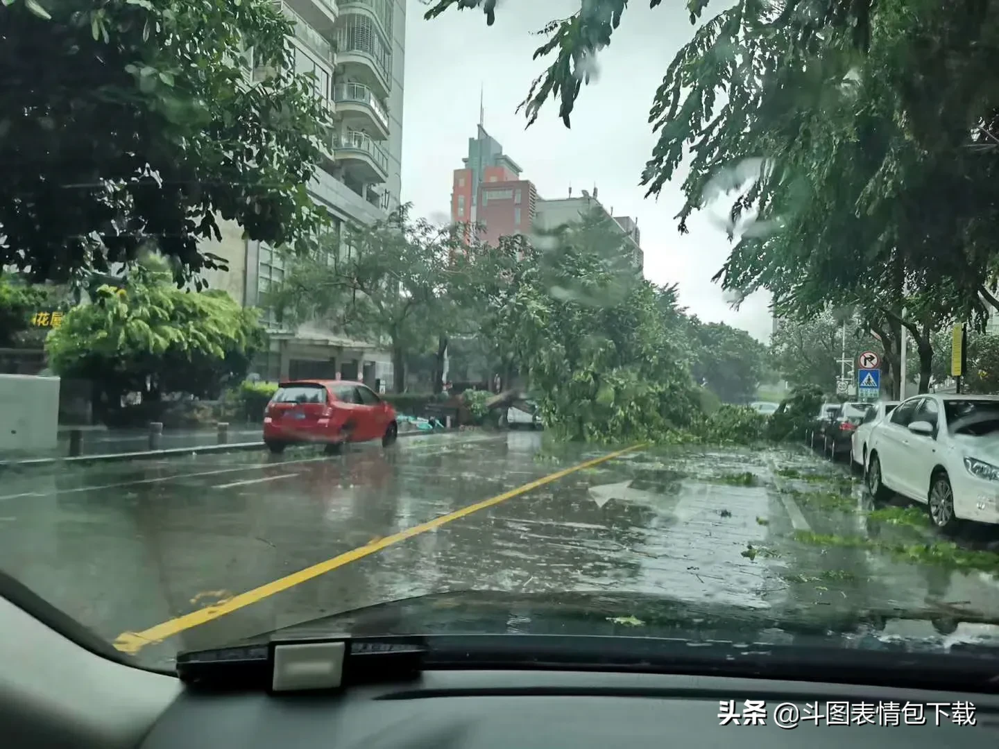 台风天开车，本来风雨就看不清路了，还刮开纸屑，让不让人开啊