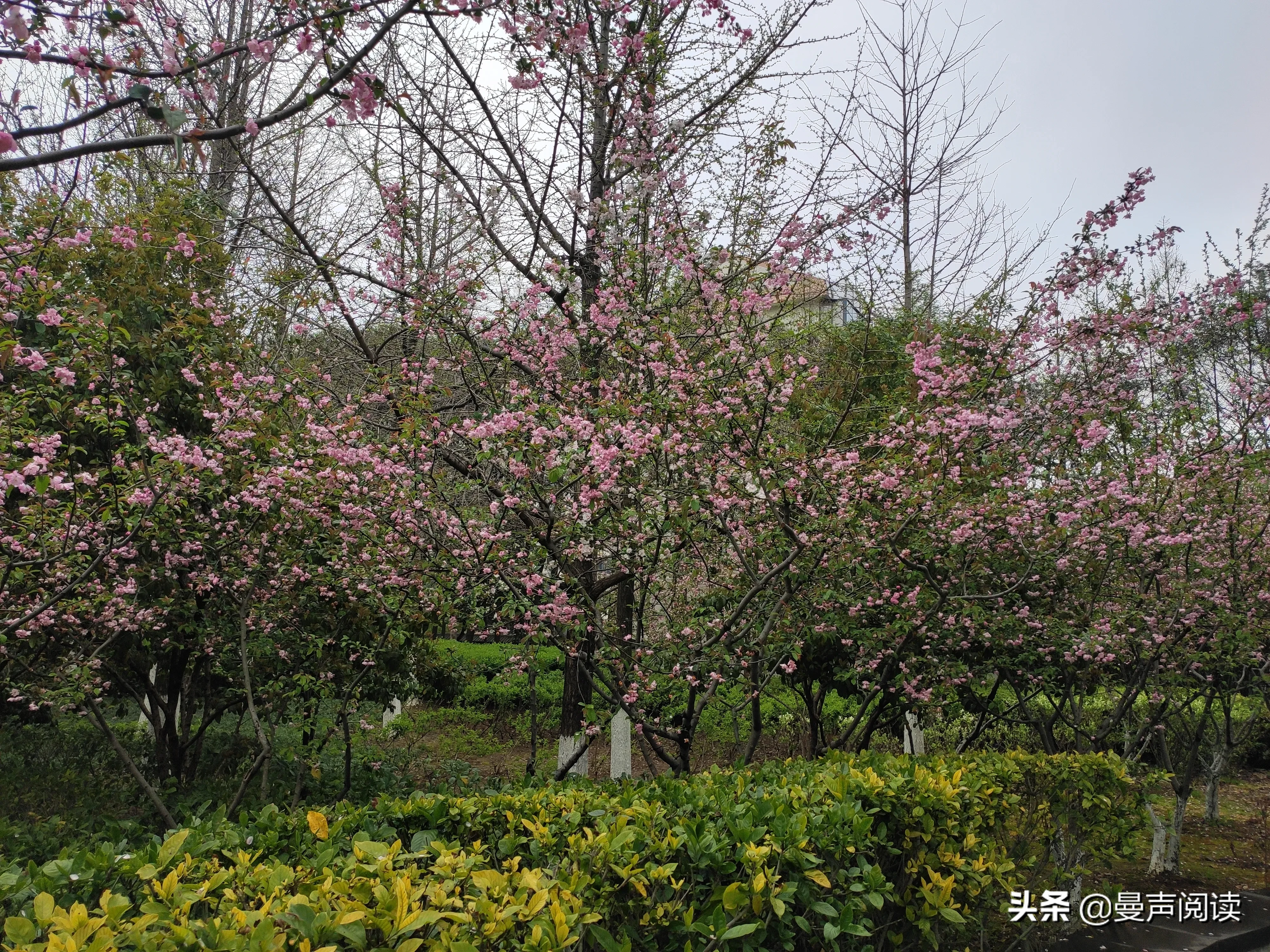 今天去医院开药，在候诊室门前等医生，遇到一个很有亲和力的年轻女孩,她跟我说