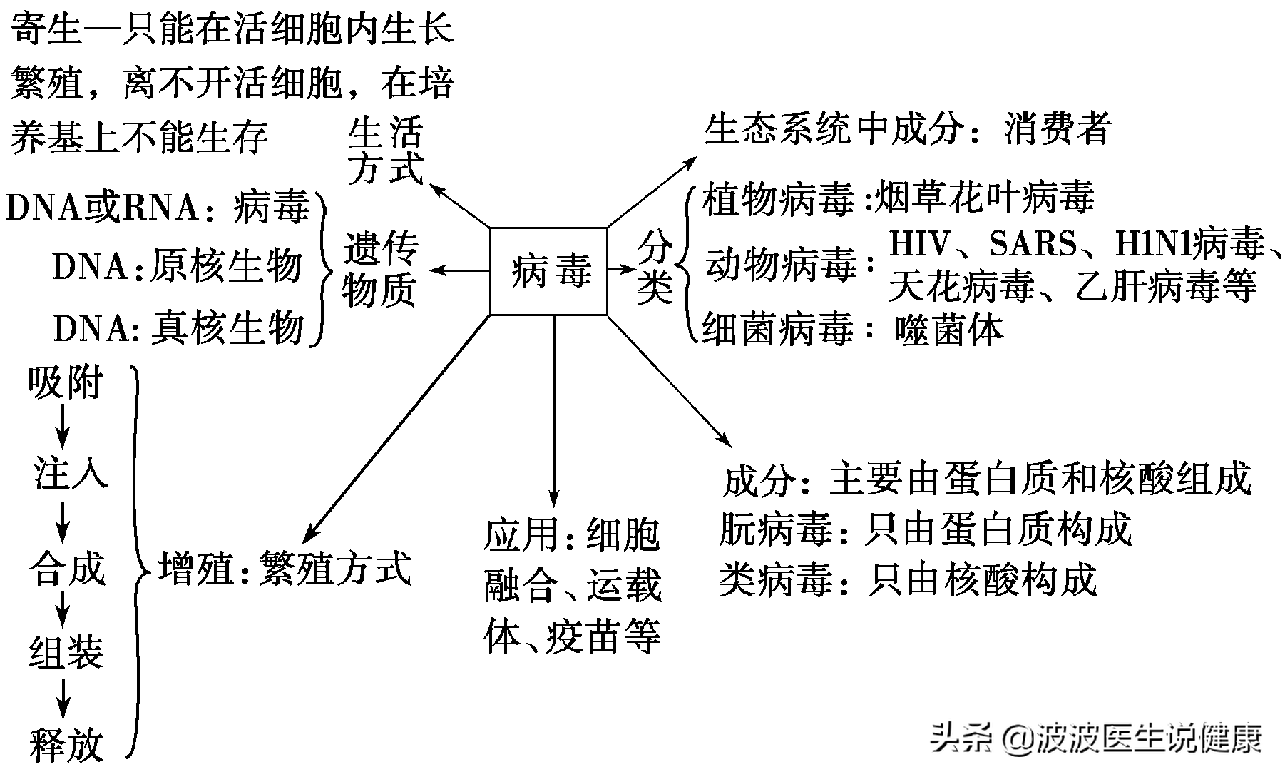 真菌图谱电子版图片