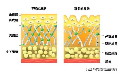 迷惑护肤大赏|马应龙痔疮膏，开塞露，芦荟，维生素E，维生素C片