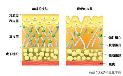 迷惑护肤大赏|马应龙痔疮膏，开塞露，芦荟，维生素E，维生素C片