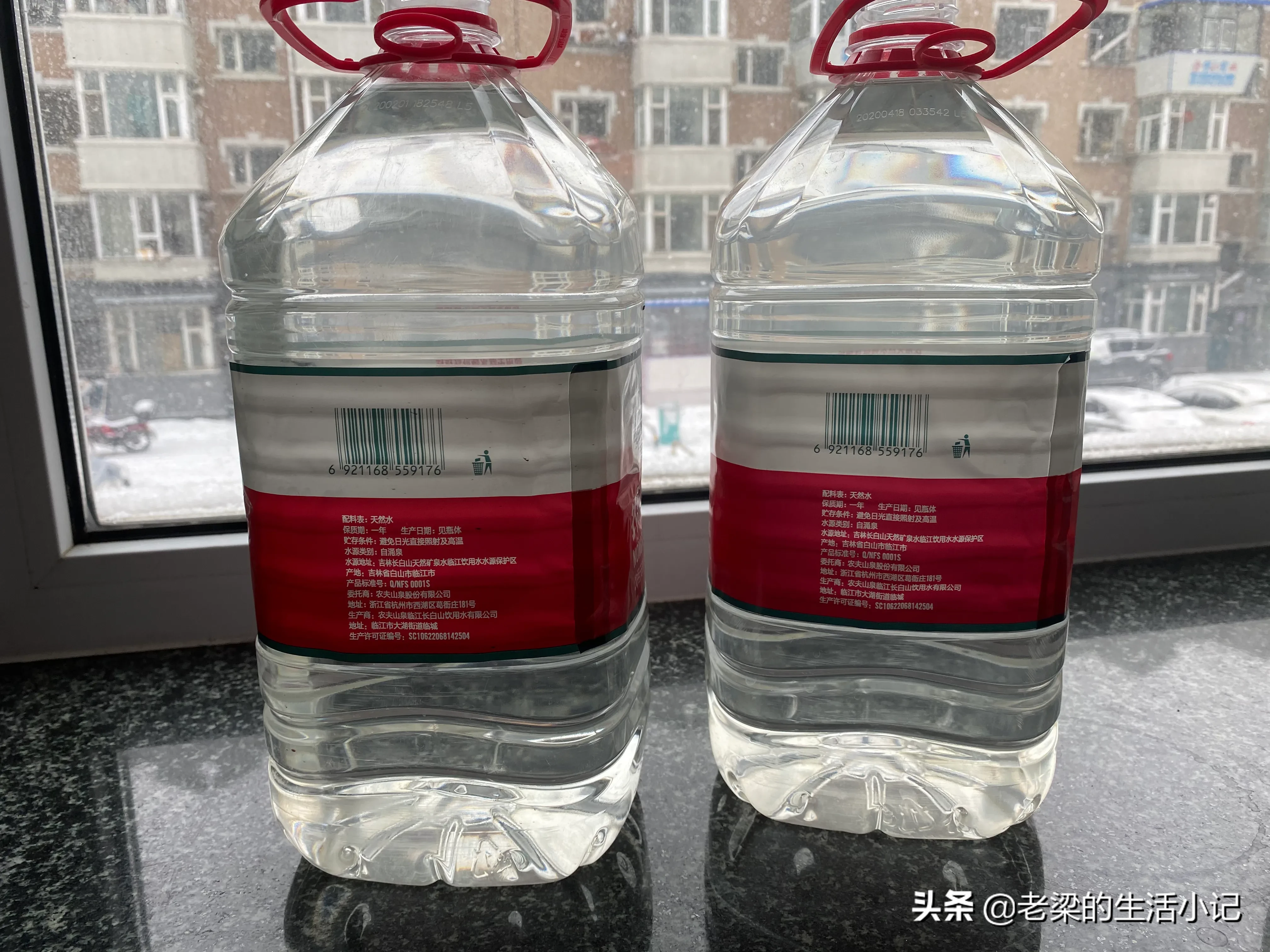 家养孔雀鱼推荐(养孔雀鱼的10点心得)