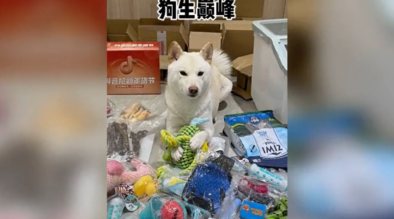 陈比方抖音创作者(近日，抖音上一位（昵称你的陈比方）的创作者记录下一条段视频突然走)