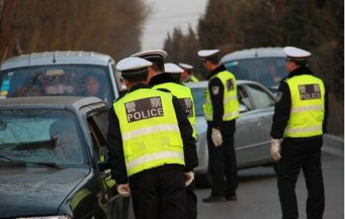 乡村路上撞死羊谁赔了(真是倒了血霉了！在省道上面撞死了一只羊)