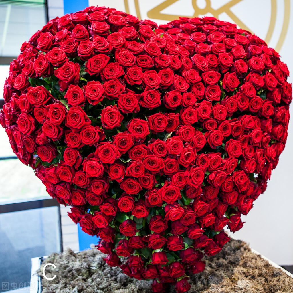 心理测试选一朵玫瑰测他喜欢我吗(心理测试凭感觉选一束玫瑰花)--飞鸽