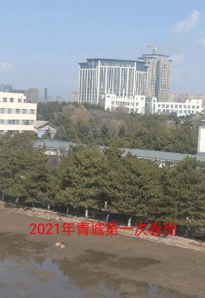 当你只身在外思乡的时候(当我离家在外久了)