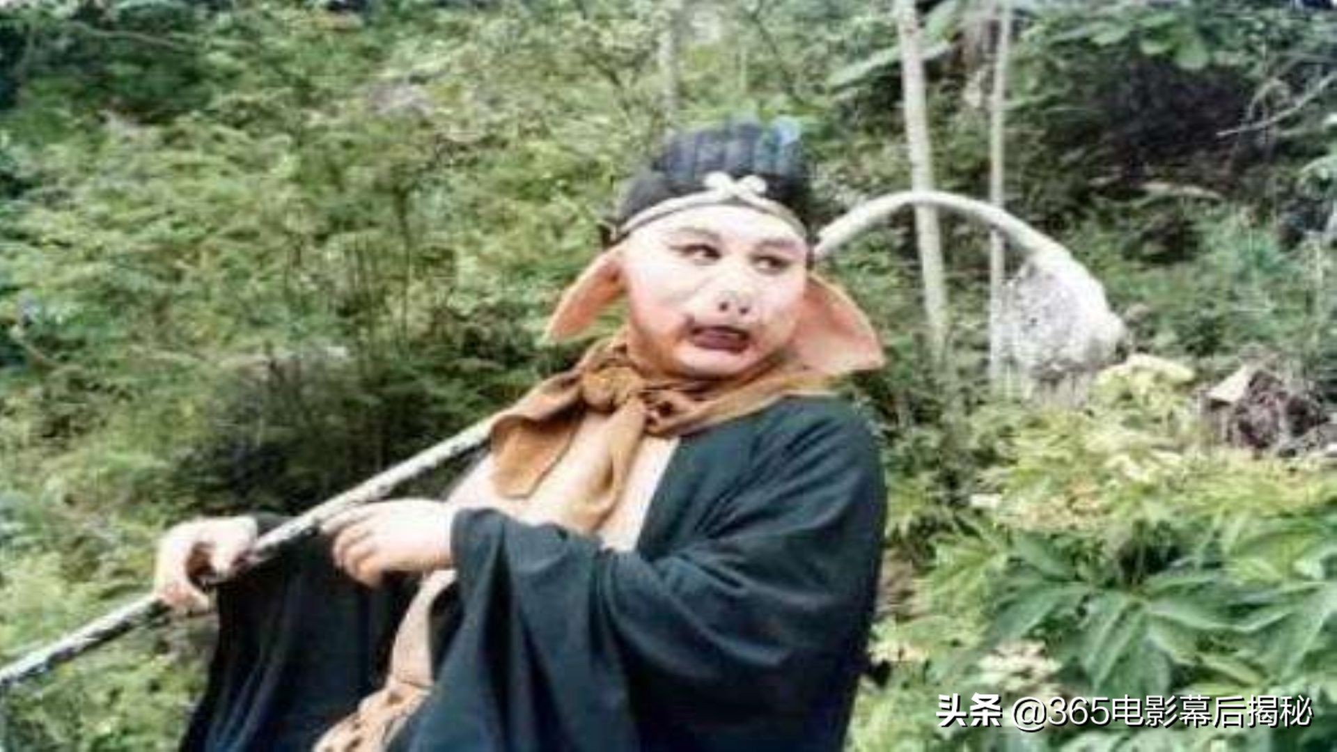 西游记幕后你不知道的那些事(盘点西游记幕后你不一定知道的故事)