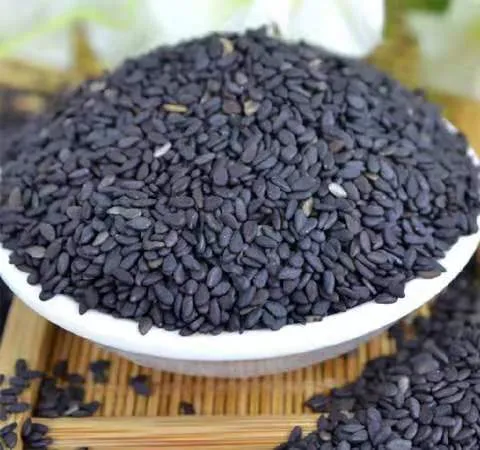 最近不断有家长问，为什么黑色的食物可以补肾？补肾的食物为什么属黑芝麻最强？家长反
