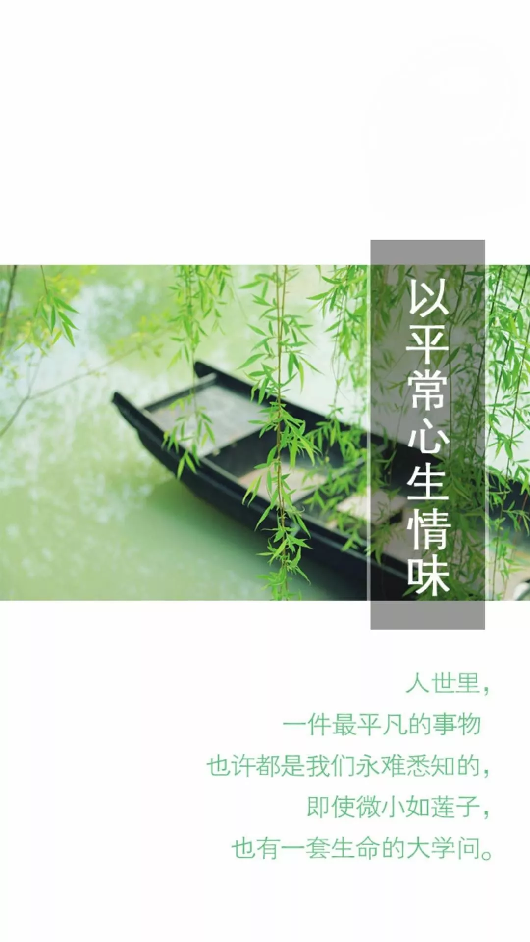 有一次，林清玄到成都演讲，上台的时候碰到一个很漂亮的女生，跑过来拉他的袖子