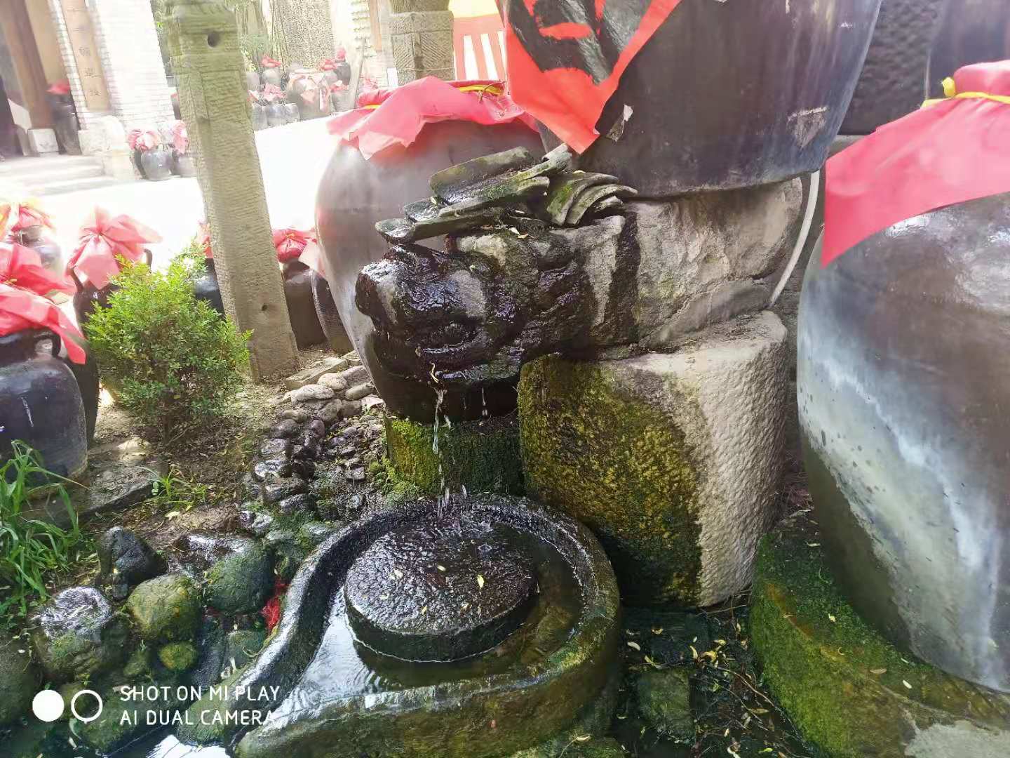 昨天去陕西鄠邑区龙窝村龙窝酒厂参观，一去人家就给了一个下马威