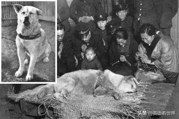 你从未见过的罕见照片(有哪些罕见的照片是我们从未见过的?)