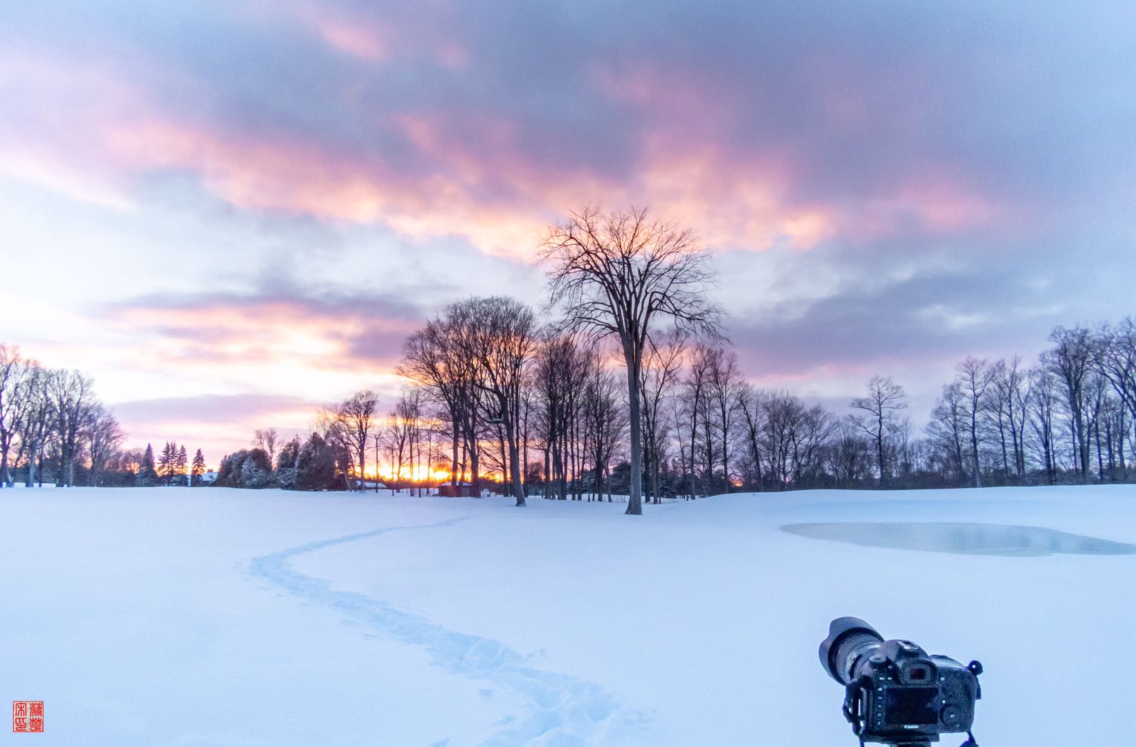 夕阳下的雪原、摄影和诗词