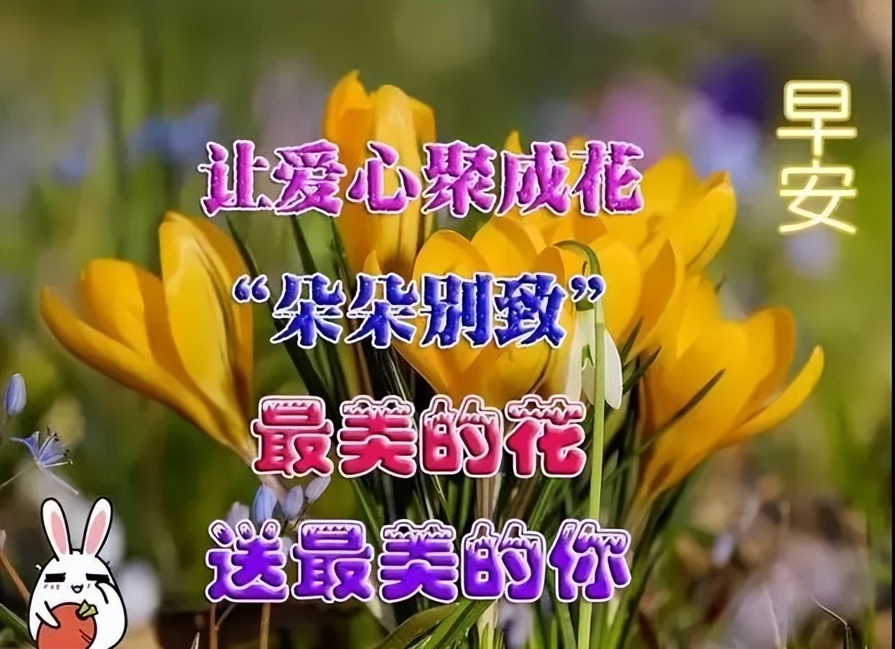 春日微信最新早上好动态表情图片大全，春日清晨早上好问候语图片