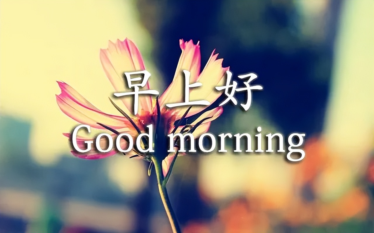 早上好问候祝福，一生快快乐乐，一世平平安安图片
