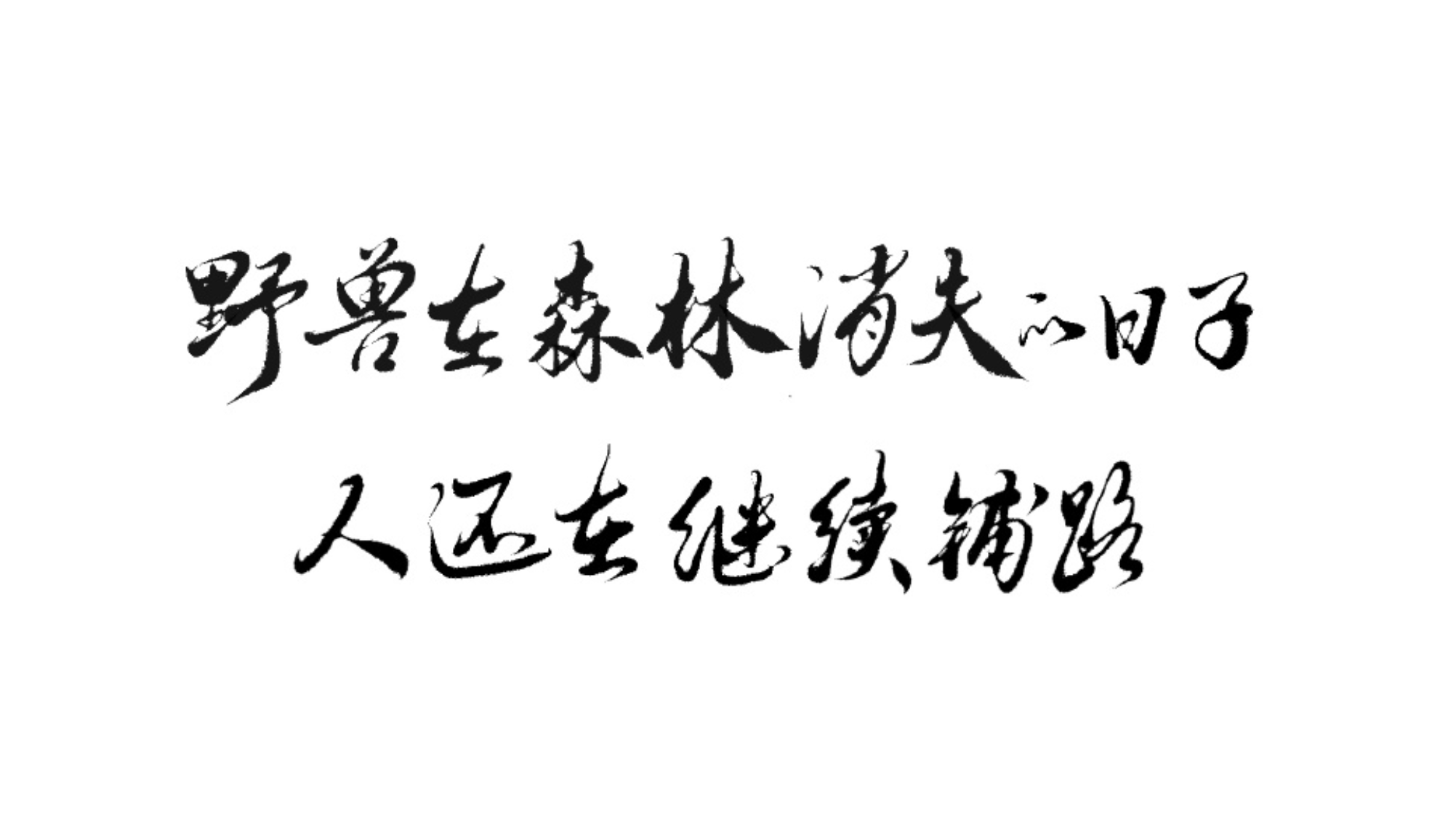 河边洒下浪漫的星，玫瑰种在无人的庭，只有失眠者懂得夜晚的诗