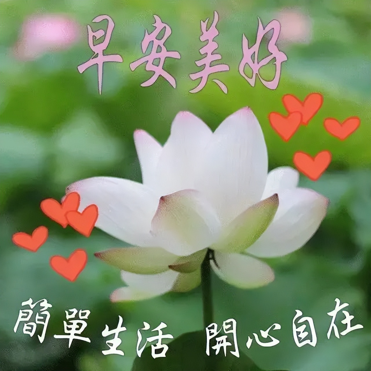朋友圈早上好问候图片祝福语 健康是财富，知足最快乐图片