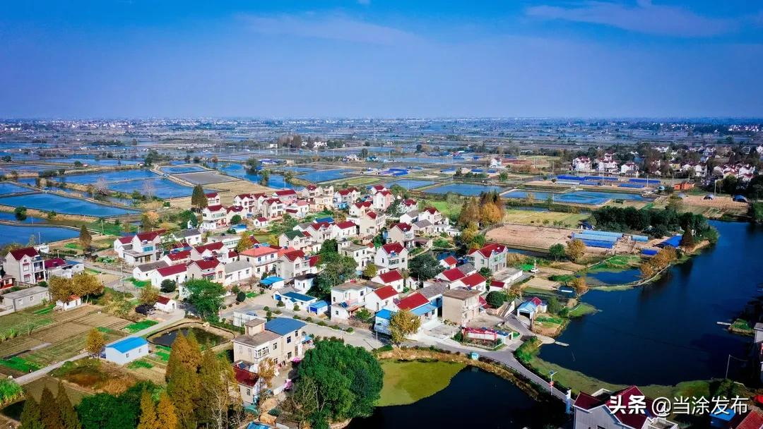 当涂县村均集体经营性收入居全省涉农县第一