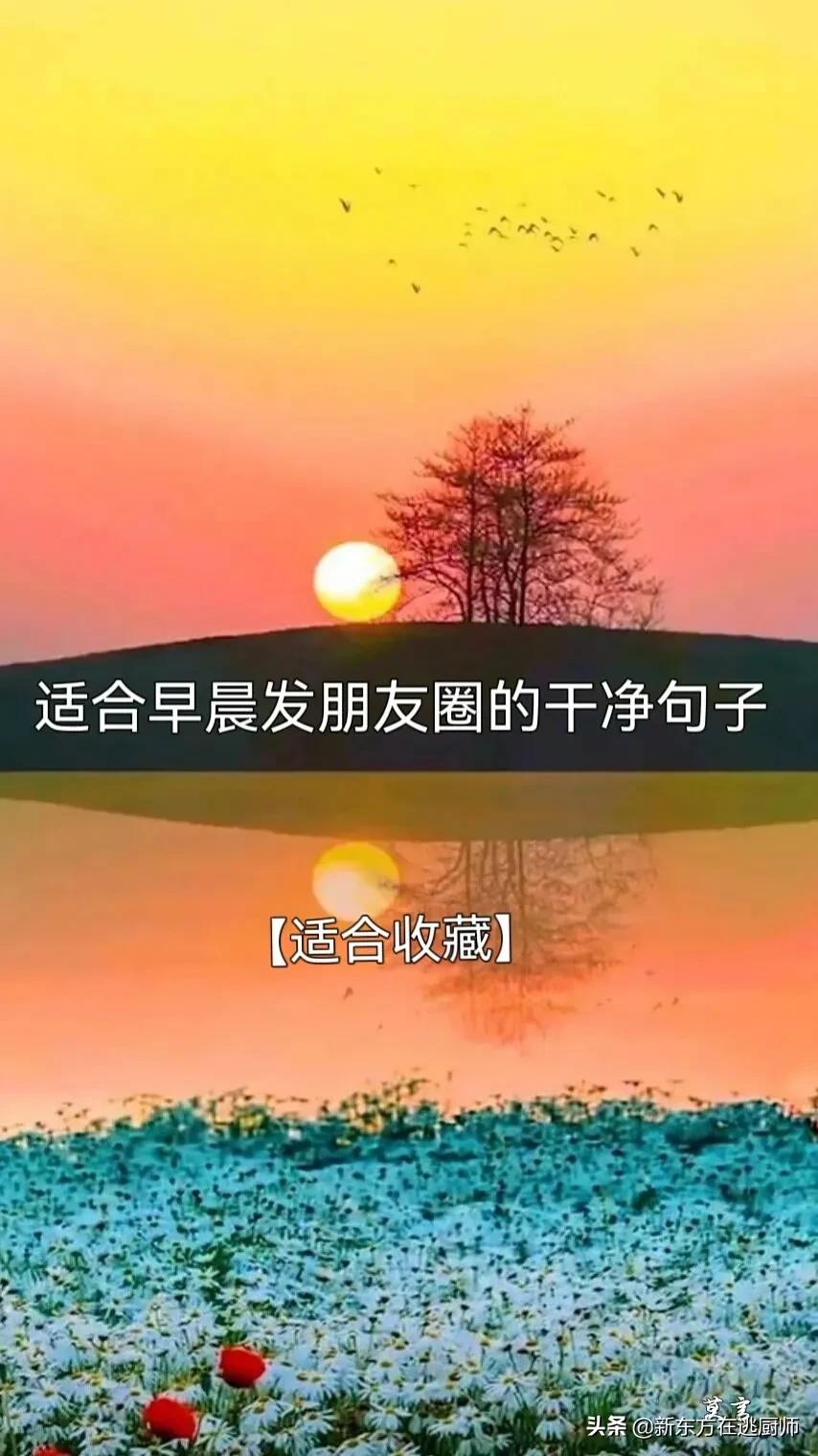 适合早晨发朋友圈的干净句子