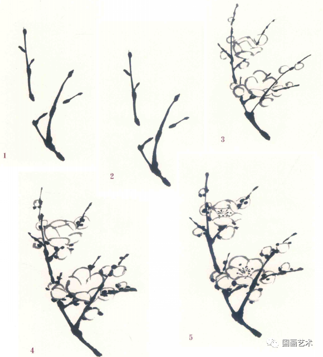 图文教程——梅花基本画法