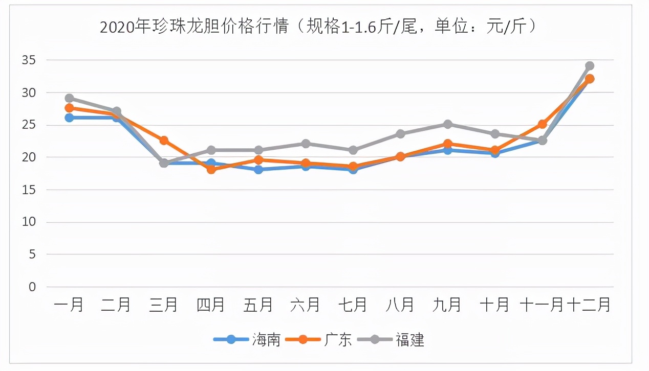 石斑魚多少錢一斤,石斑魚多少錢一斤市場價2022