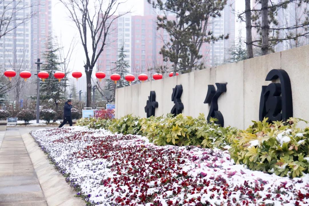 ����ĵ�һ������ѩ�������Ķ�����