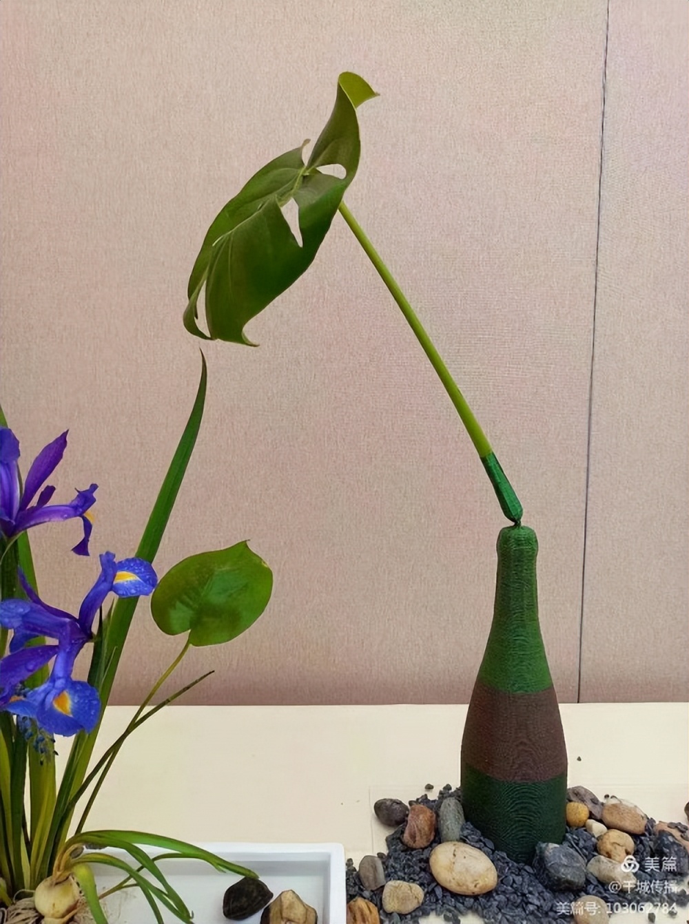 「瑞金發(fā)現(xiàn)@系列報道」花間悟道劉佩群