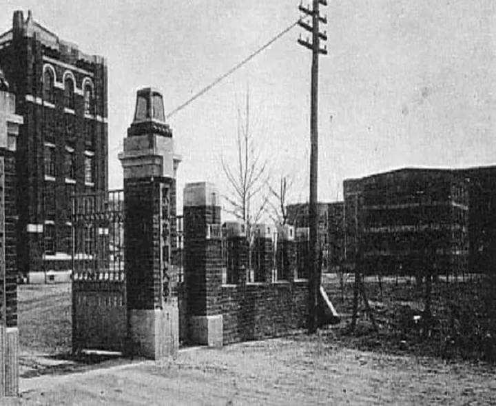 著名数学家苏步青身上一直装着一张日本女士的照片，她是谁？