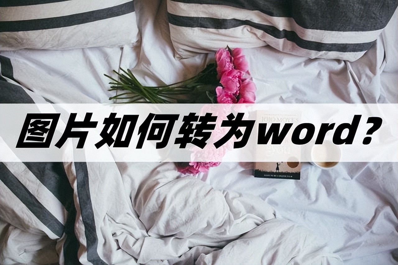 图片如何转为word(图片怎么改成word文档)