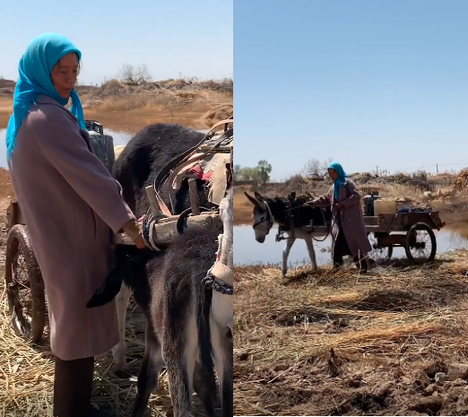 海清下面这个造型更像一个农村妇女,照片中的海清头戴蓝色围巾,手抬驴