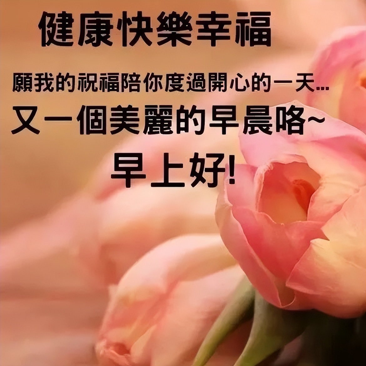 周末清晨祝福早上好的动态图片，阳光的早上好问候祝福语图片