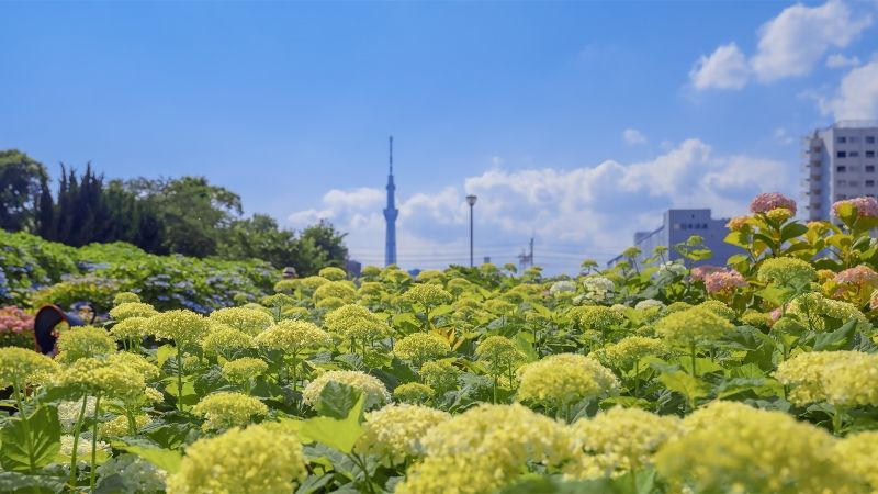 关于摄影的名人名言