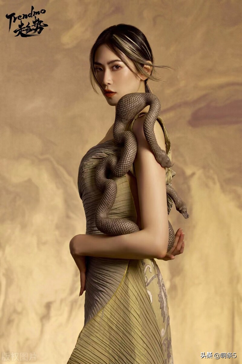 刘美彤的这个造型也太酷了吧