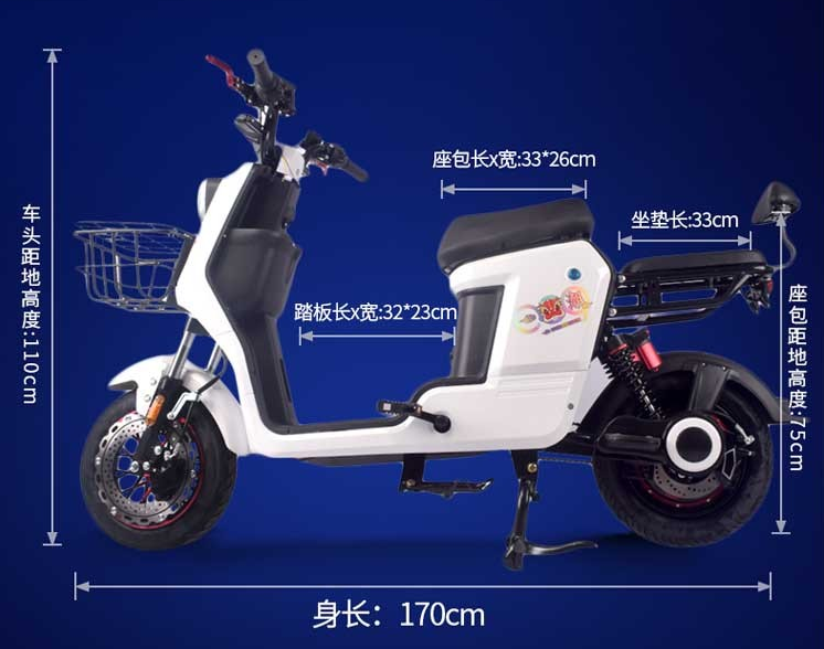 电车价格(2款超高续航国标电动车) - 价格百科
