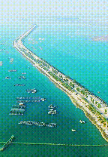 北海隔壁，广西这座安逸老城！高铁直达，嗦粉水果自由，早该火了