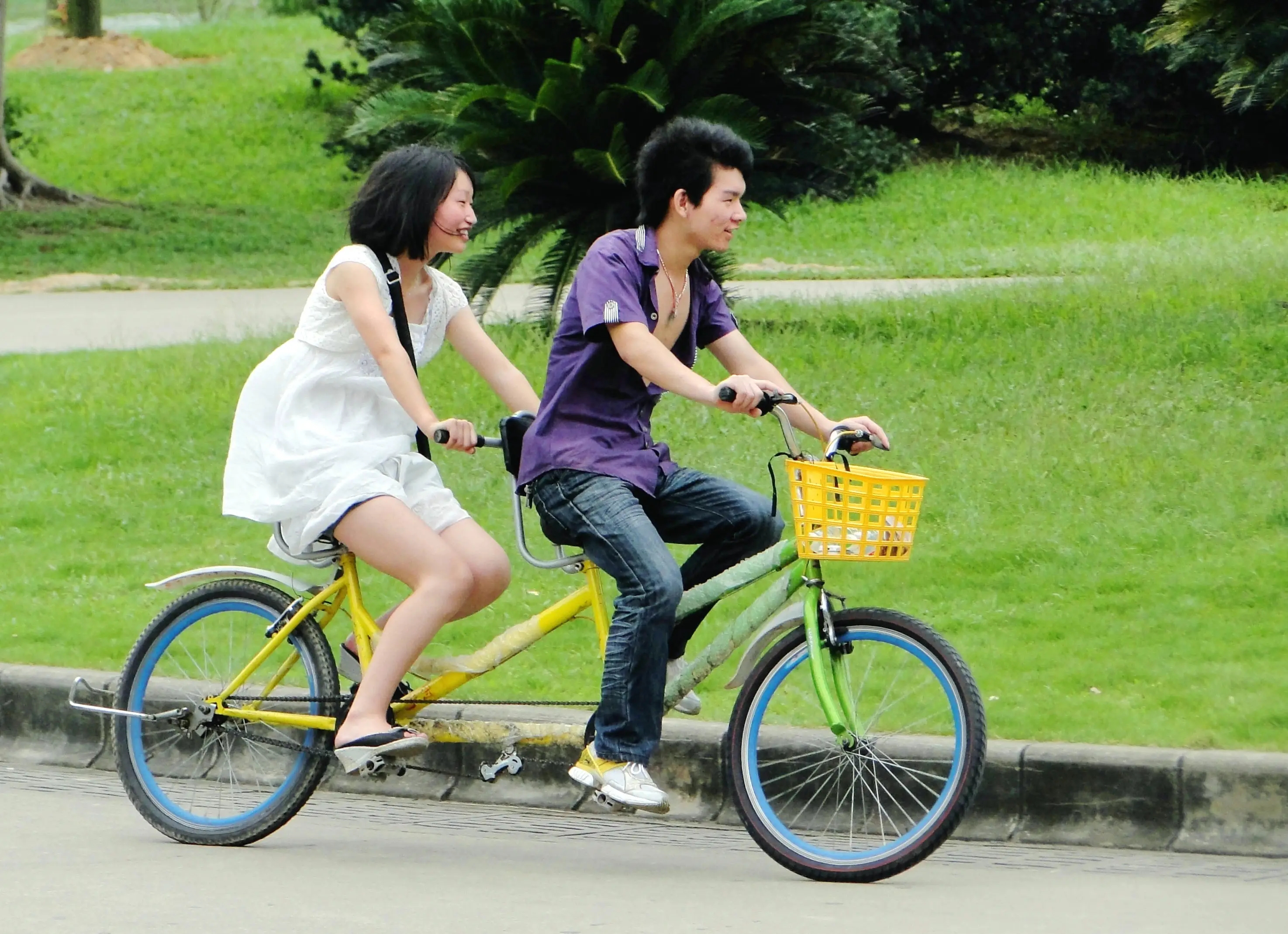 为何，今早，大量北京市民骑车上班