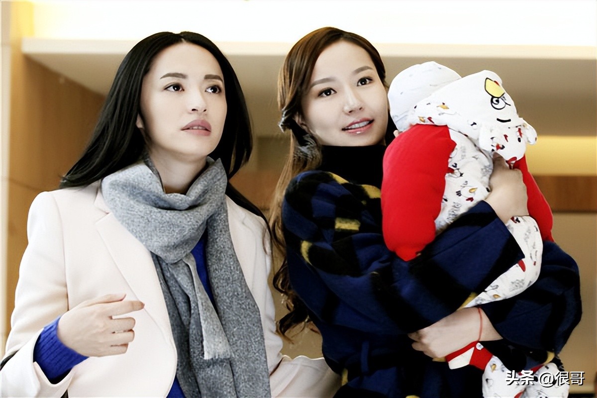 《心居》演员学历比拼，上戏和北电的毕业生占了多数，原因有三点