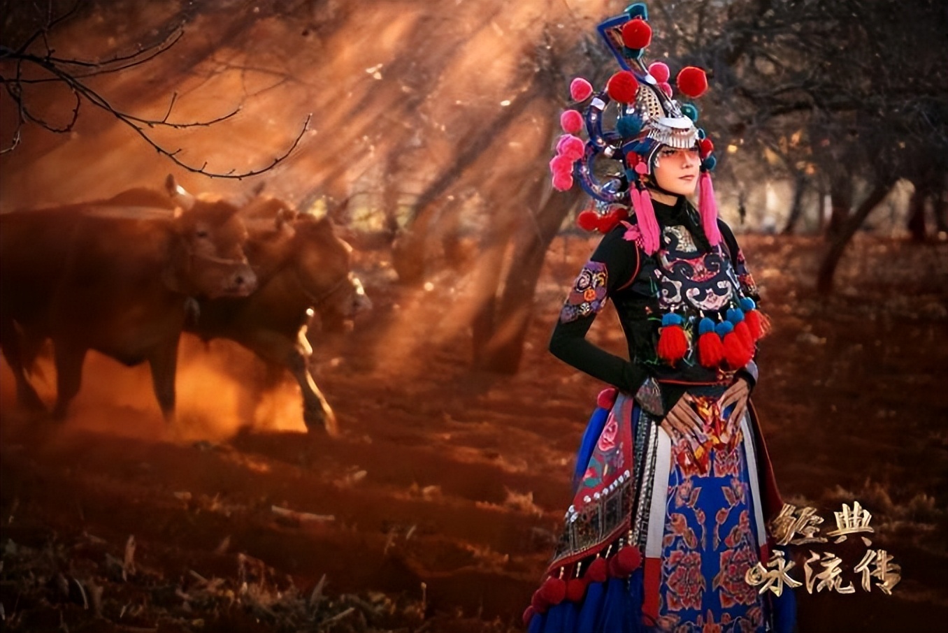 《经典咏流传》本周收官：遨游“大美中华”，遇见最深情的美好