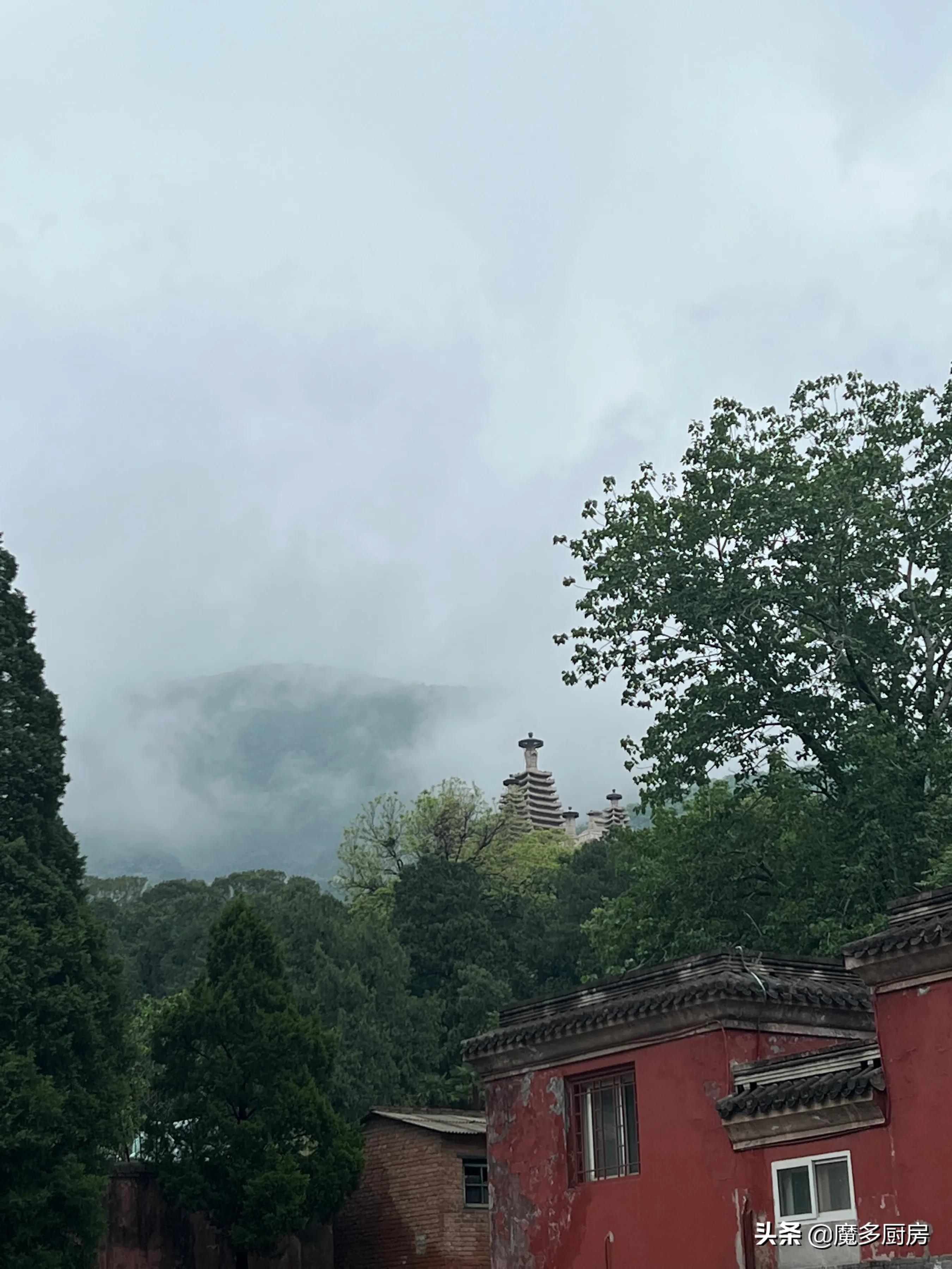 北京香山植物园户外记录，带孩子们雨中山野徒步，感受自然乐趣