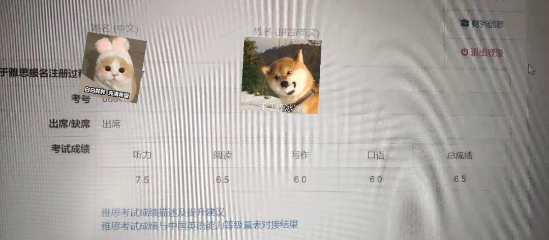 雅思自学能出分吗？真的一定要报培训班吗？（内附自学经验分享）