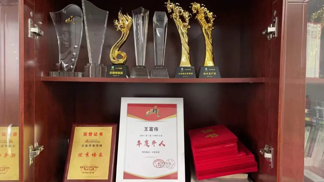 中國首個單產(chǎn)突破14噸牧場奧秘何在？