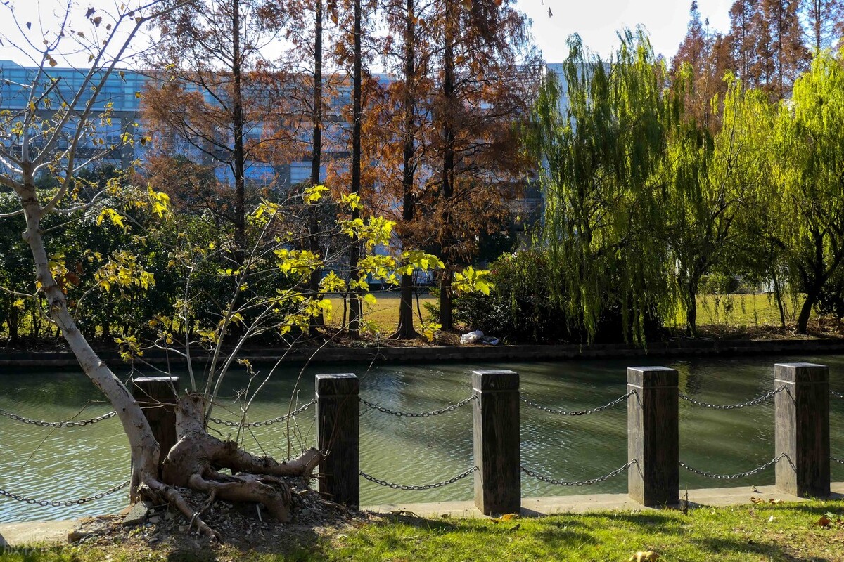 药学，中药学，中医学，这3个专业有什么好出路？哪个更好？