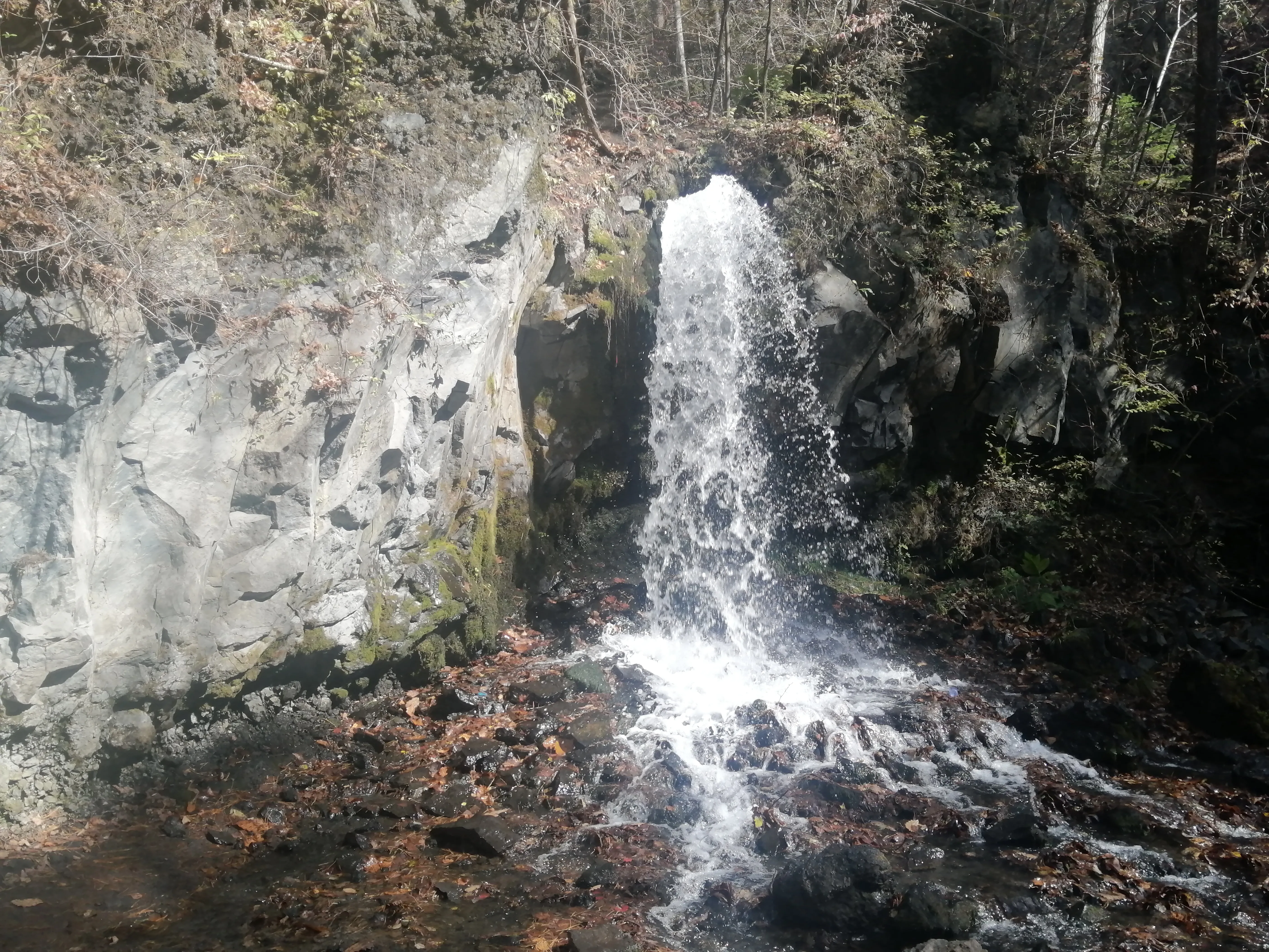 公文选萃公号封禁后几点小提示