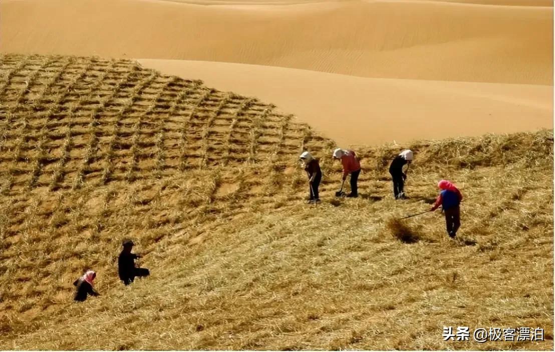 中国发明高效率“固沙车”，一天可治理40亩沙漠，已在甘肃使用
