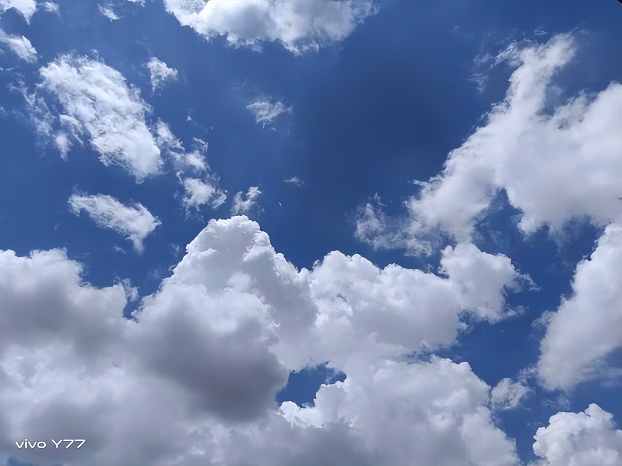 颜值和实力并存！下半年可以闭眼入的三款手机