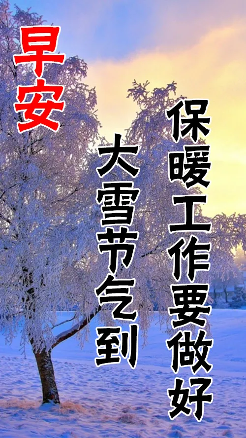 下雪的短信(大雪节气到,愿你快乐相伴,天寒了注意保暖哟,早安)