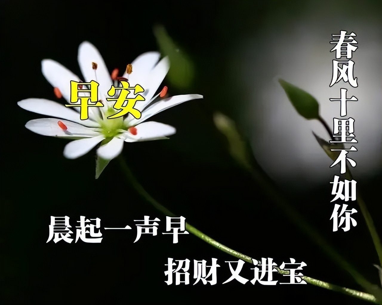 周末温馨的早上好祝福问候语动态图片，郭浩充实今日就有美好明天图片