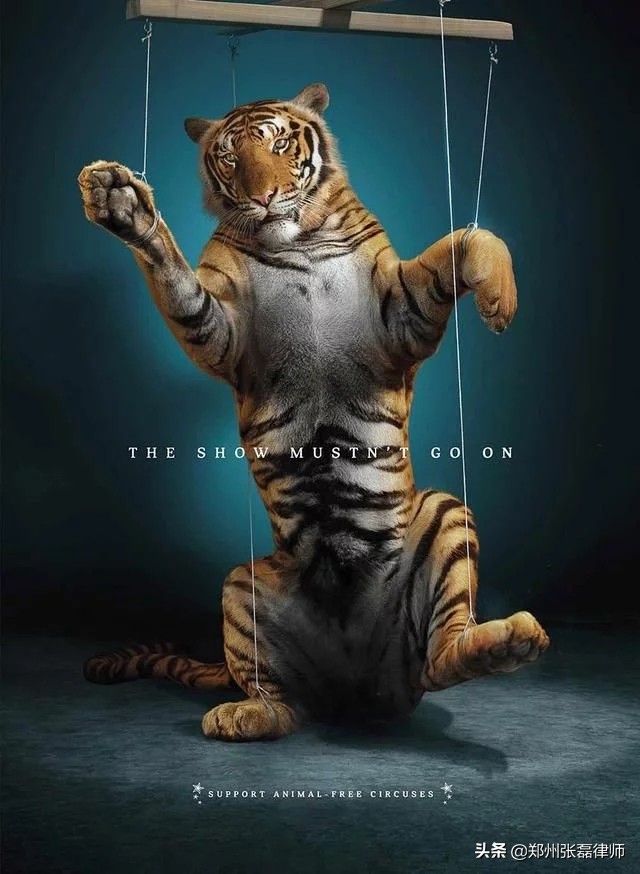 辽宁一男子直播间买东西获刑