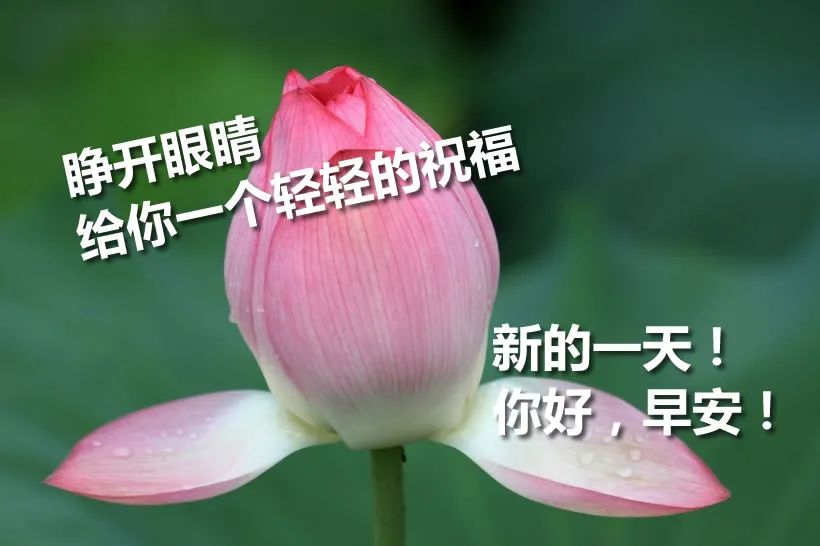 2022新版朋友圈早上好祝福图片带字，开心每一秒，快乐每一天图片