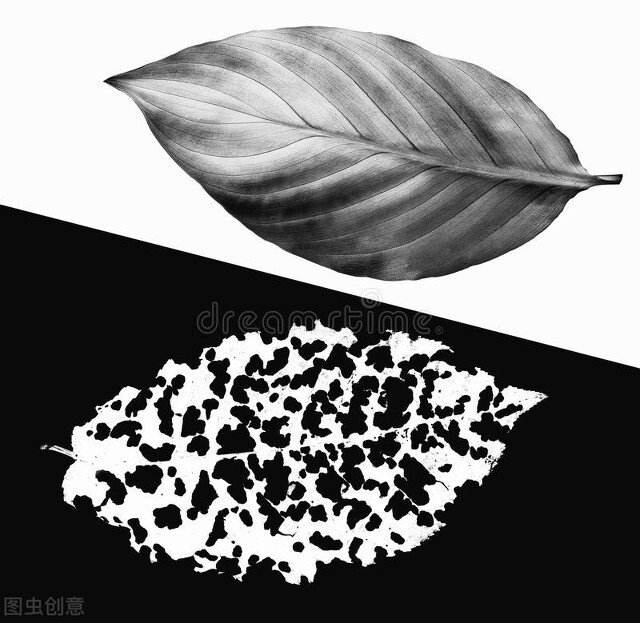 东航客机坠落后，更让我明白人应以何种命理观自居，这非常重要